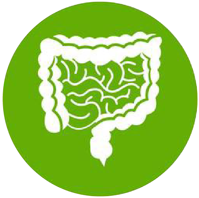 關(guān)注職場“腸”態(tài)，守護(hù)員工健康——上海格瑞特特邀消化內(nèi)科專家公益系列講座（4）(圖1)
